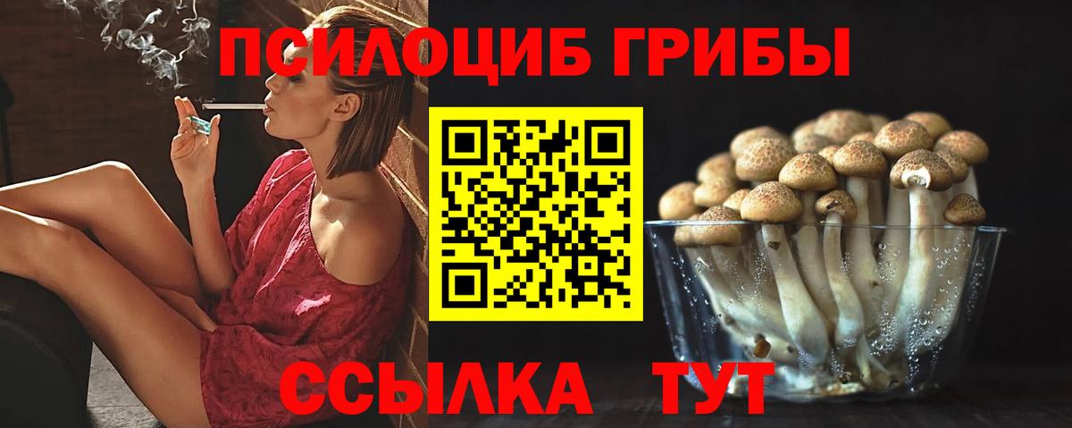 Галлюциногенные грибы прущие грибы Южноуральск